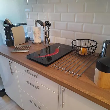 公寓 Le Lioran 勒利然